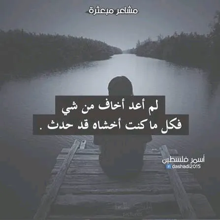 صورة سيارة حسام ابو علي