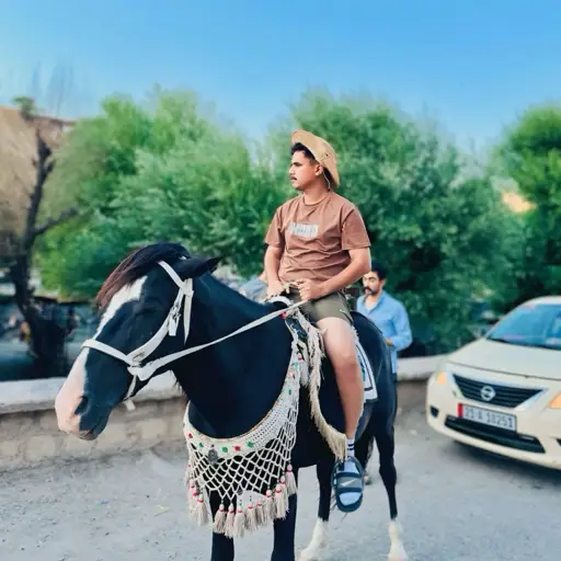 امجد الزبيدي